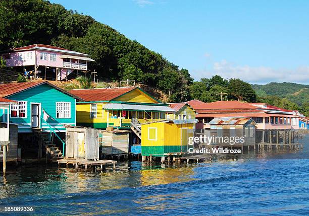 se encuentra en la costa de la isla roatan, honduras - honduras fotografías e imágenes de stock