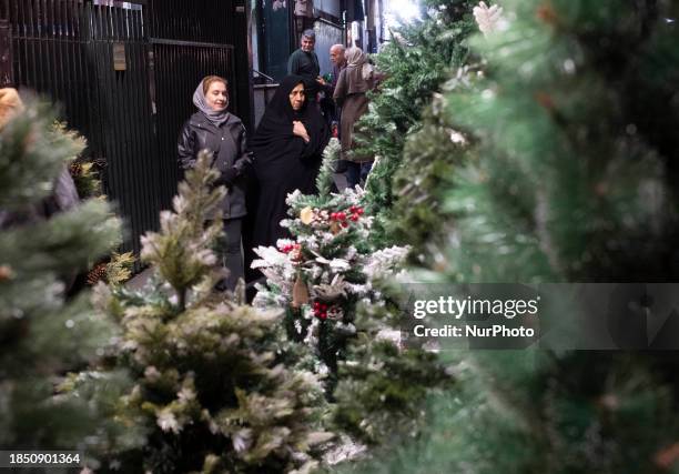 Veiled Iranian woman is looking at Christmas trees placed along a street-side while she is Christmas shopping in downtown Tehran, Iran, on December...