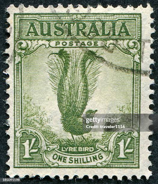 lyre bird stamp - lyre bird stock pictures, royalty-free photos & images