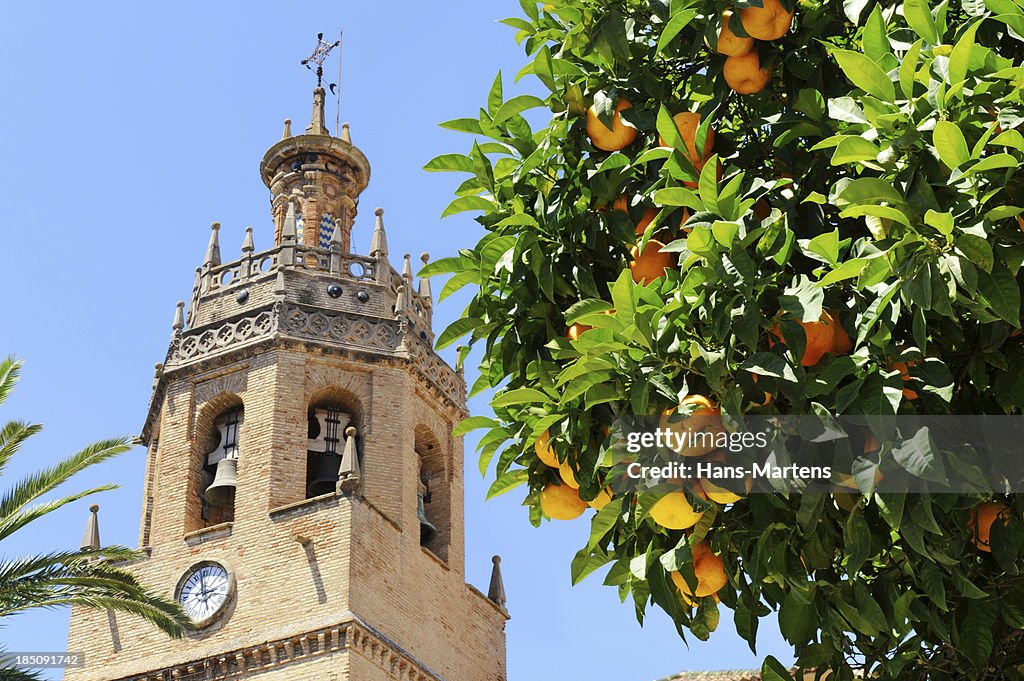 Orange tree in front of bell tower Ronda, Andalusia, Spain