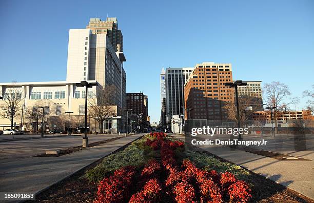 raleigh - raleigh stockfoto's en -beelden