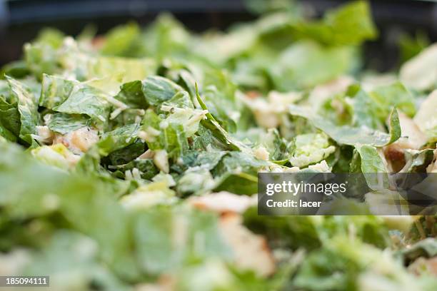 cesar salad close-up - cesar salad bildbanksfoton och bilder