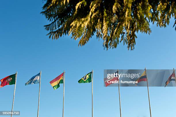 flags - world trade organisation stock pictures, royalty-free photos & images