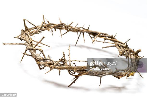 crown of thorns on a light background - thorn stockfoto's en -beelden