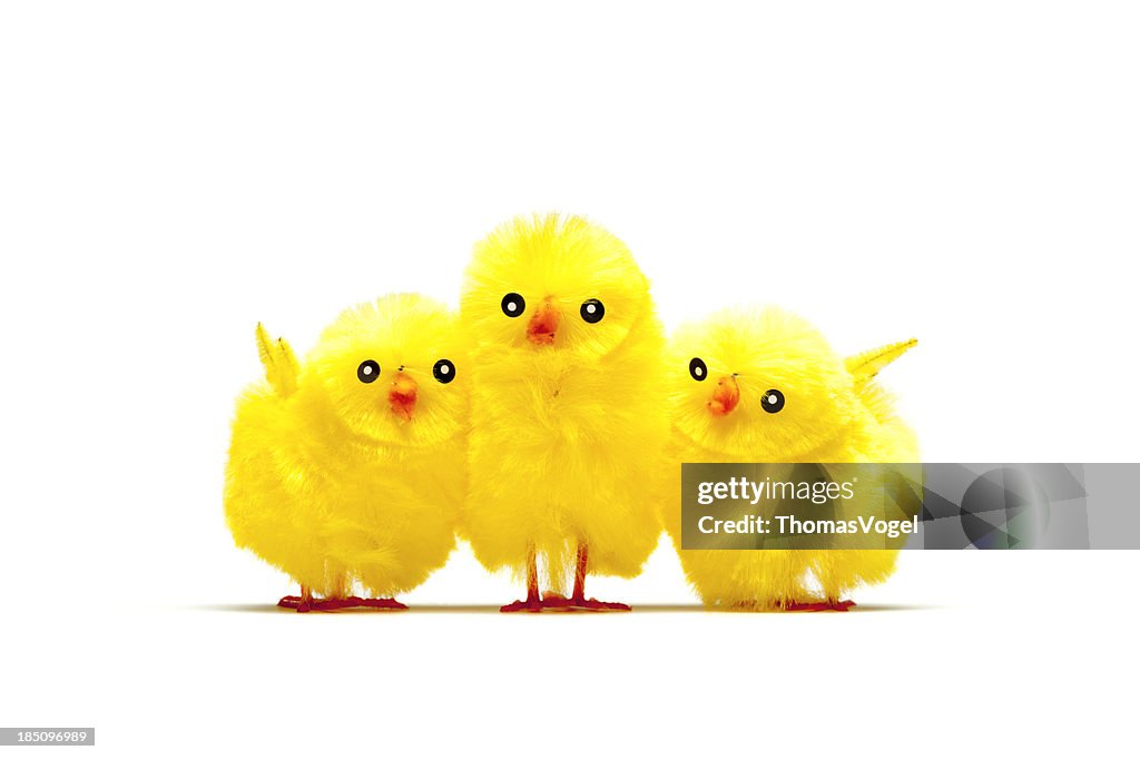 Kuscheln Baby Huhn-Chick Humor lustige Oster