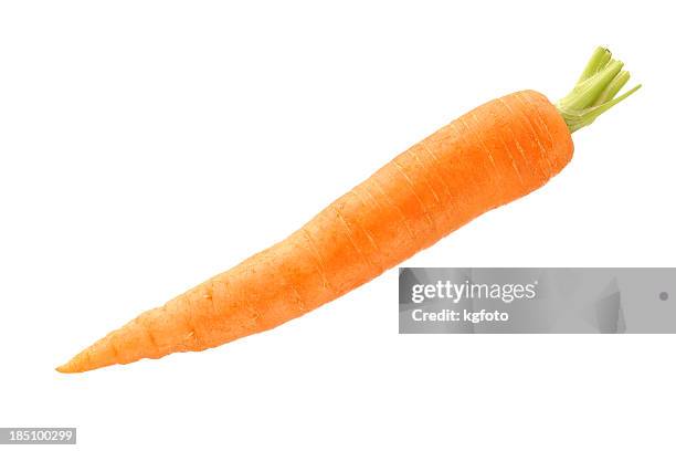 carrot - carrot stockfoto's en -beelden