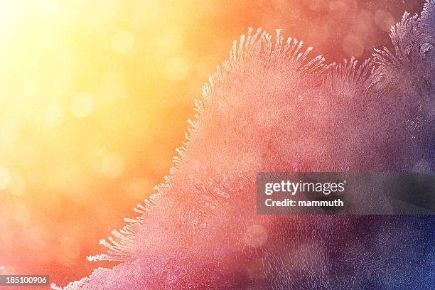 winter sunrise through icy window - ice crystal stock pictures, royalty-free photos & images