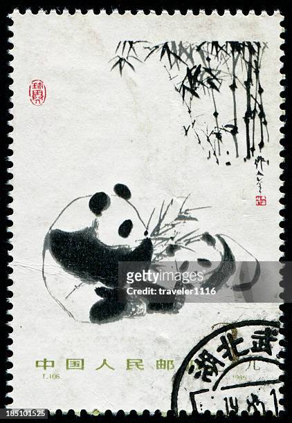 panda stamp - pandya stock pictures, royalty-free photos & images