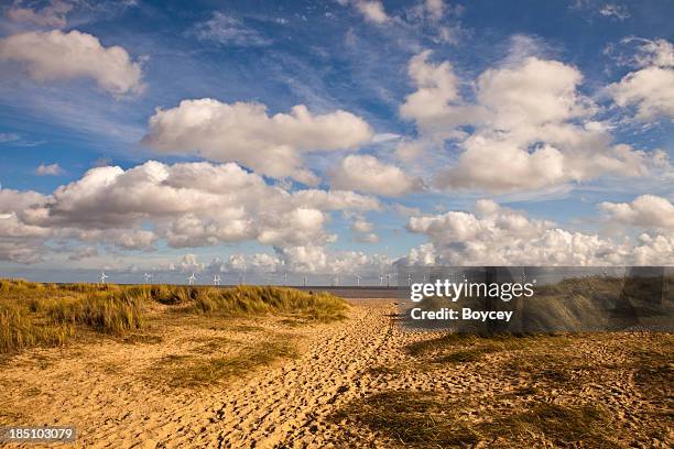 path through the dunes - great yarmouth norfolk stock pictures, royalty-free photos & images