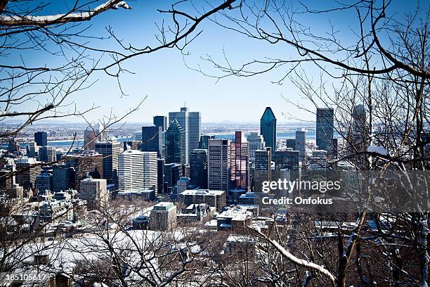city view of montreal in winter - montréal stockfoto's en -beelden