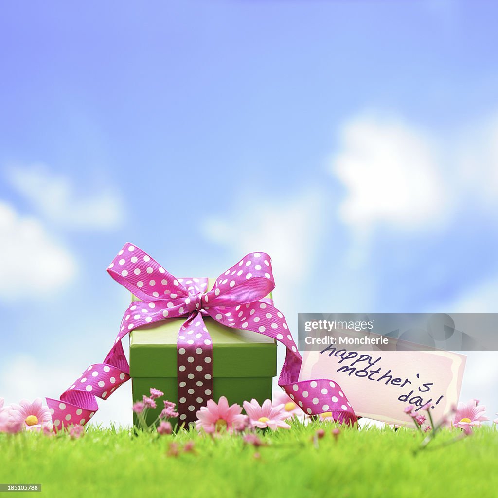 Green gift box with pink ribbon