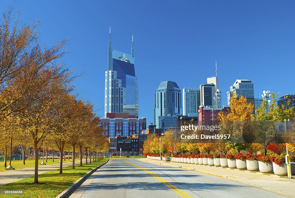 Autunno Panorama di Nashville e piante