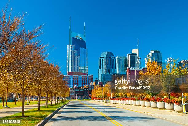 nashville skyline and fall plants - nashville stock pictures, royalty-free photos & images