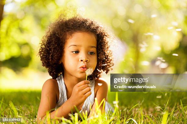 little girl busy blowing dandelion seeds in the park - dandelion seed stock pictures, royalty-free photos & images