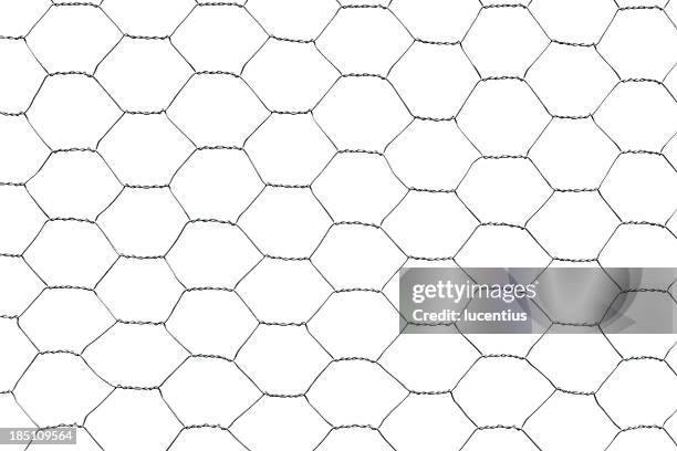 chicken wire - mesh fence stock pictures, royalty-free photos & images