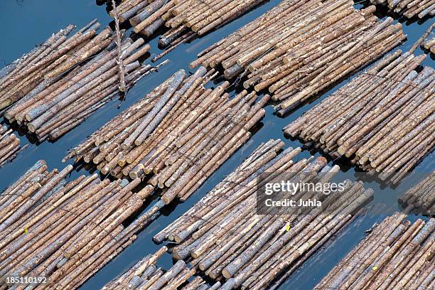 floating logs - lappeenranta stockfoto's en -beelden