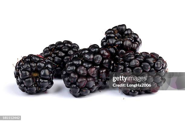 blackberry - mulberry fruit stock pictures, royalty-free photos & images