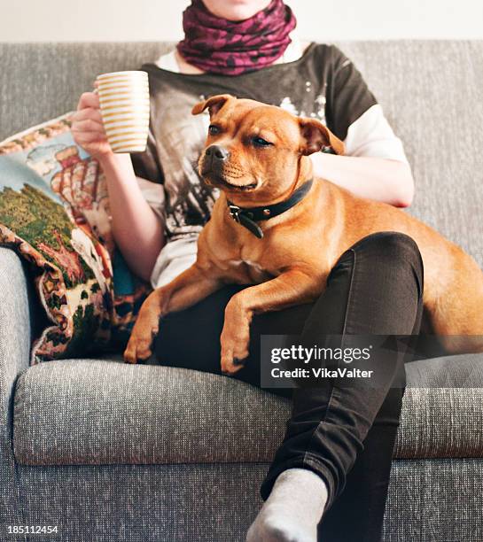 woman and a dog - op schoot stockfoto's en -beelden