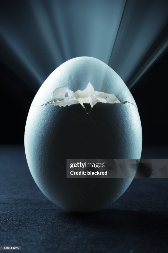 Hatching Egg