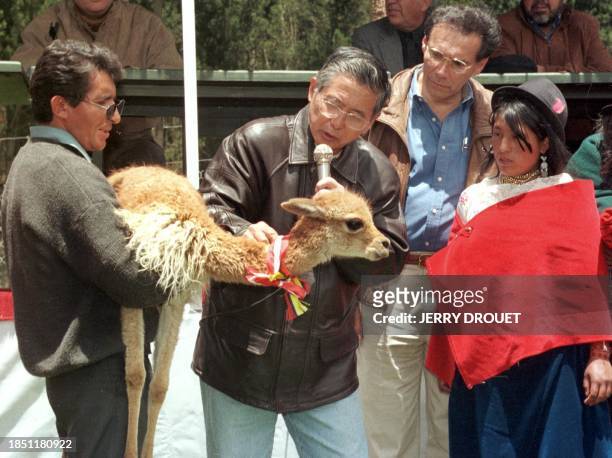 The President of the Peru Alberto Fujimori accompnied by the president of Ecuador Jamil Mahuad gives a vicuna to a indigenious person, 27 October...