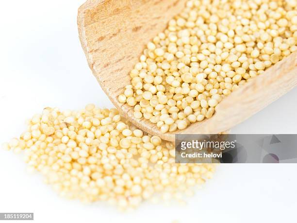amaranth seed - abyssinica stock pictures, royalty-free photos & images