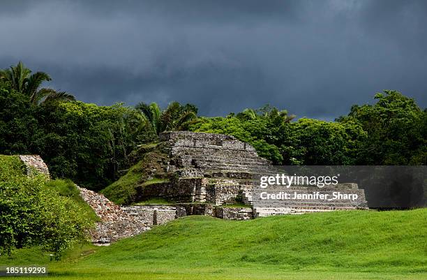 maya ruins - belize culture stock pictures, royalty-free photos & images