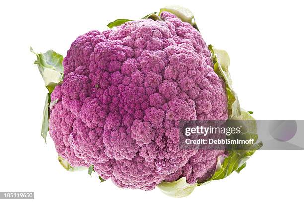 purple cauliflower - crucifers bildbanksfoton och bilder