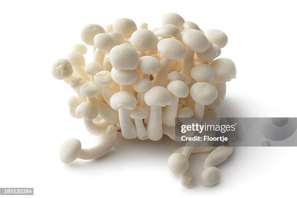 pilze: enoki - enoki mushroom stock-fotos und bilder