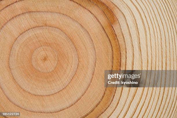 tree rings texture background - macrophotography stock pictures, royalty-free photos & images