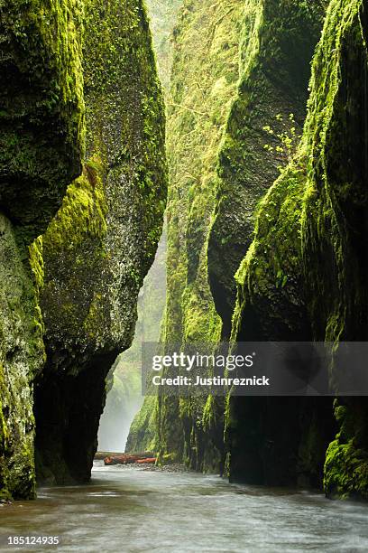 oneonta gorge - oneonta gorge stock pictures, royalty-free photos & images