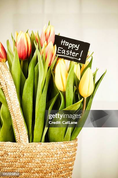 easter basket - tulips cat stock-fotos und bilder