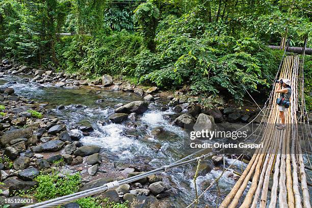 ponte de bambu, são vicente - st vincent imagens e fotografias de stock