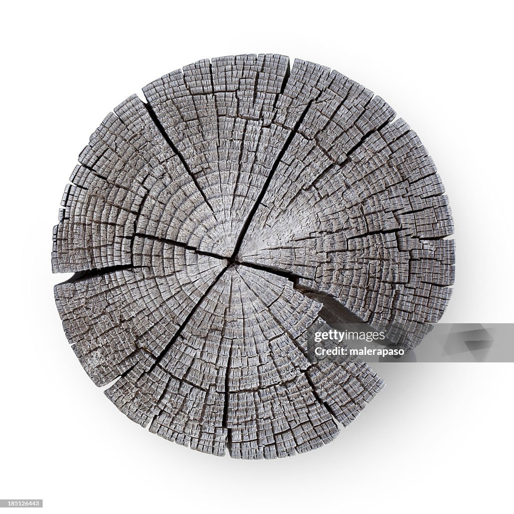 Wooden cross section