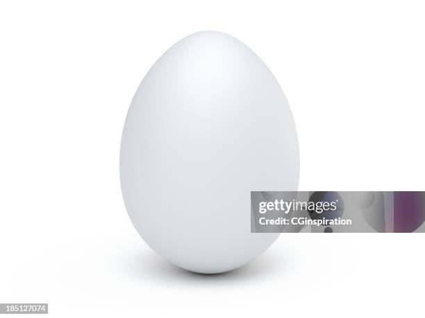 isolated egg - ägg bildbanksfoton och bilder