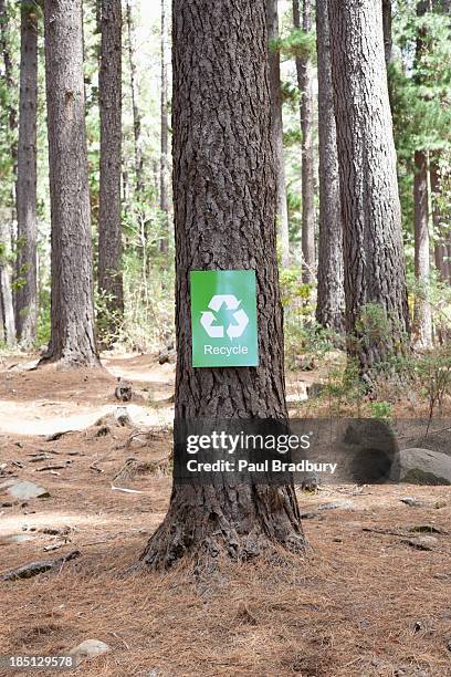 Clean Tree Sign A Recycle Sign On A Tree In The Woods High-Res Stock Photo - Getty Images