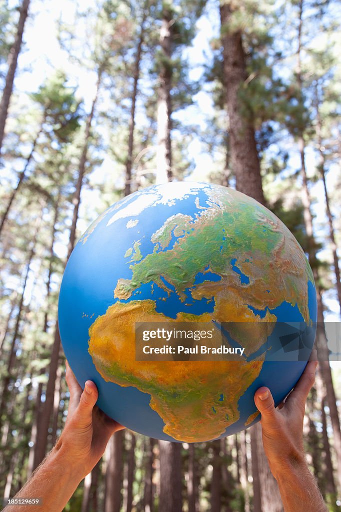 Hands holding a globe