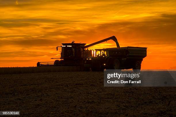 harvesting crops - agricultural equipment bildbanksfoton och bilder