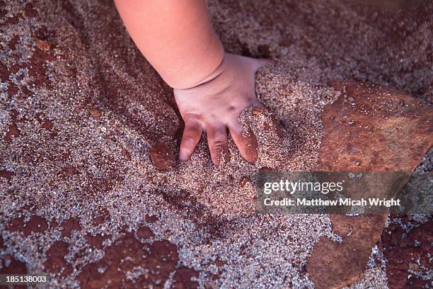 families gather on this family friendly beach. - hands red soil stock pictures, royalty-free photos & images