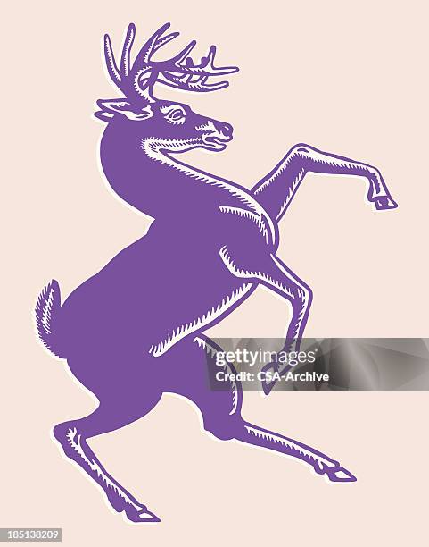 stockillustraties, clipart, cartoons en iconen met deer on back legs - stag