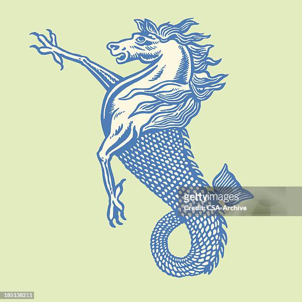 bird, horse and fish hybrid - mythology stock illustrations
