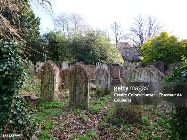 abandoned grave markers at brompton cemetery in london, england, united kingdom. no people. - knightsbridge stock pictures, royalty-free photos & images
