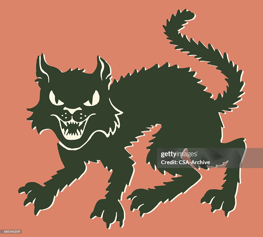 Gato preto