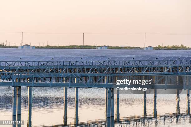 Aquaculture Fish Ponds Photos and Premium High Res Pictures - Getty Images