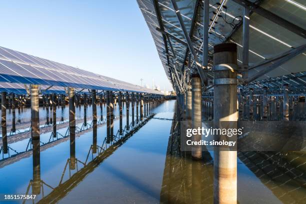 solar photovoltaic panels in the fish pond - trout farm stock pictures, royalty-free photos & images