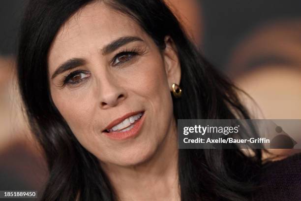 Sarah Silverman attends Netflix's "Maestro" Los Angeles Photo Call at Academy Museum of Motion Pictures on December 12, 2023 in Los Angeles,...