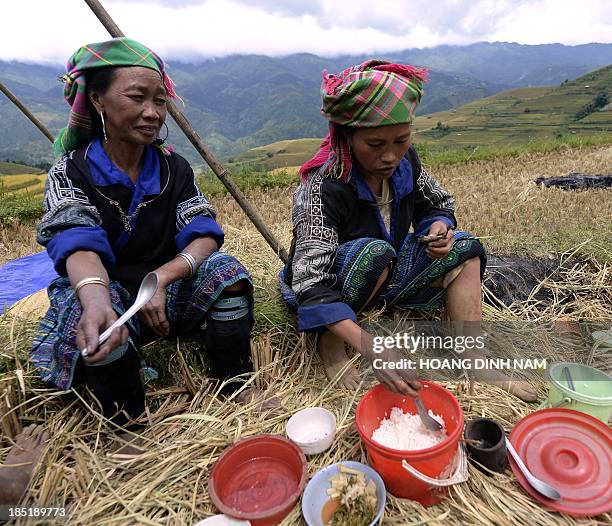 Alcohol Rice Hmong Hmong Food Photos and Premium High Res Pictures - Getty Images