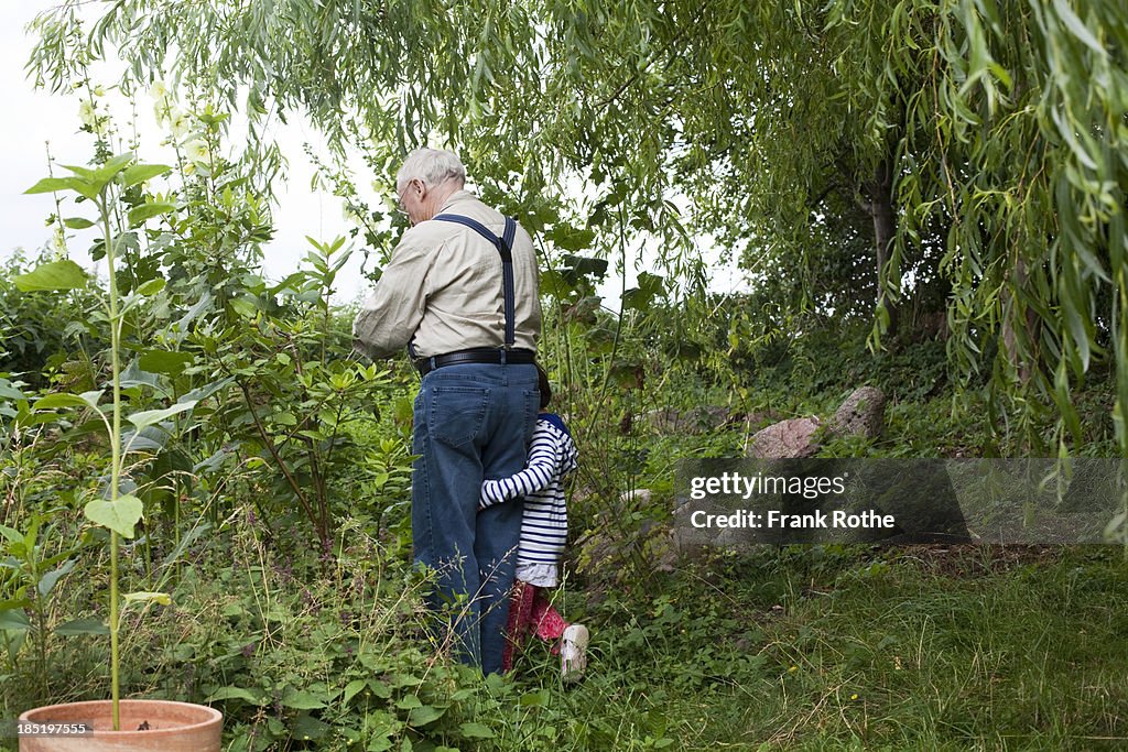 Grandpa picking flowers with his grandchild