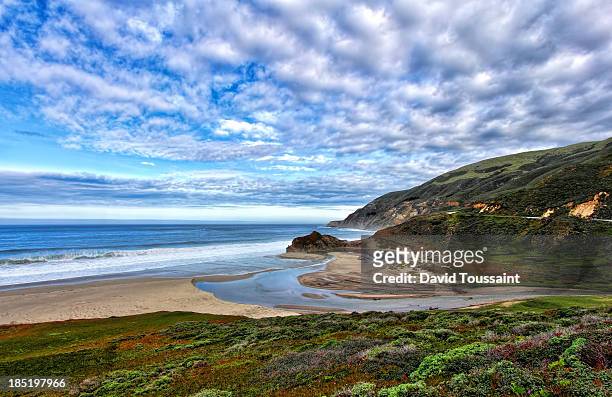 little sur river enters the pacific ocean - los padres national forest stock pictures, royalty-free photos & images