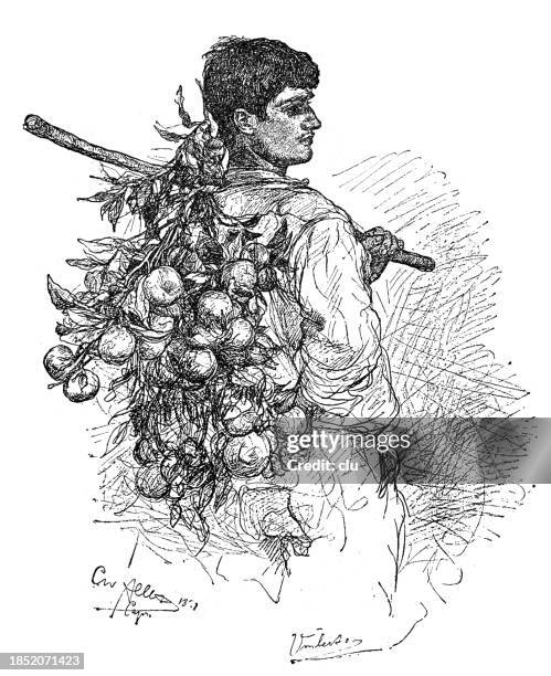 capri man carries fruits over the shoulder hanging on a stick - history of capri stock illustrations