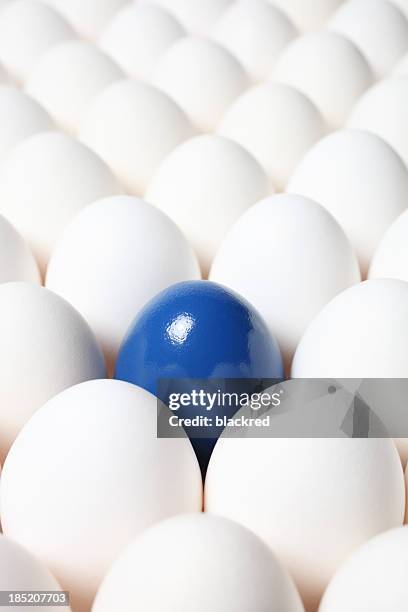 leadership - dirty easter stock pictures, royalty-free photos & images